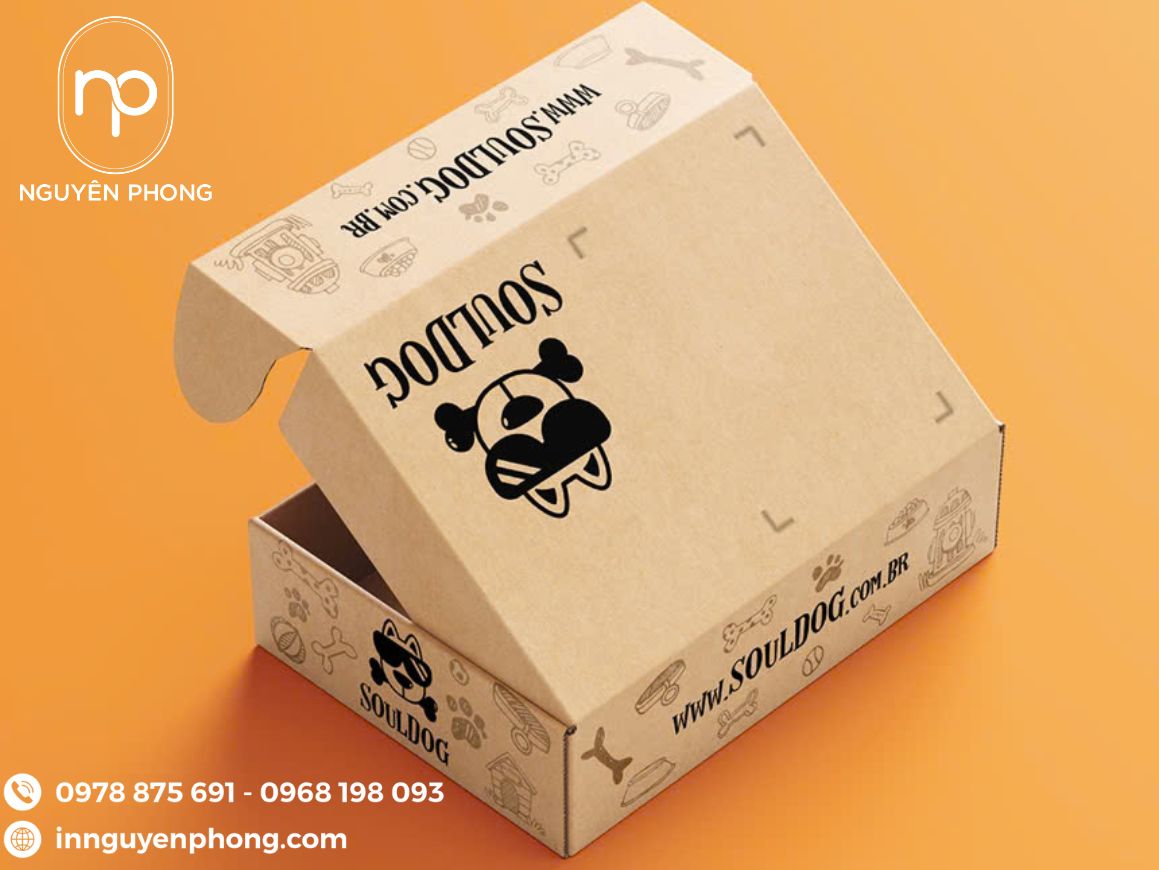 Mẫu carton sóng B 